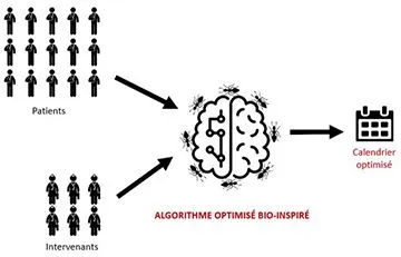 Schéma d'un algorithme optimisé bio-inspiré.