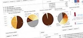 Programa de Contabilidad Analítica.